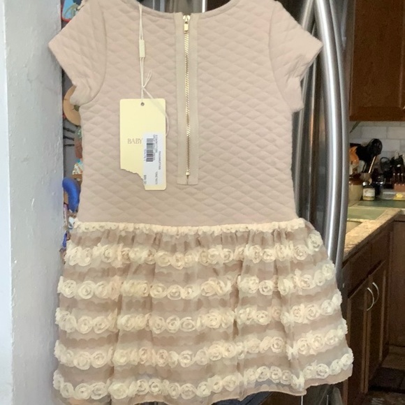 NWT Nordstroms Baby Sara sweet drop waist flower detail dress - Picture 5 of 8